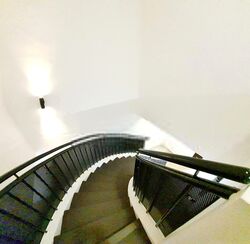 Dunearn Road (D11), Apartment #554139571